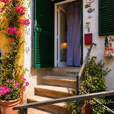 Casa Eleila - Elba Affitti Appartement *